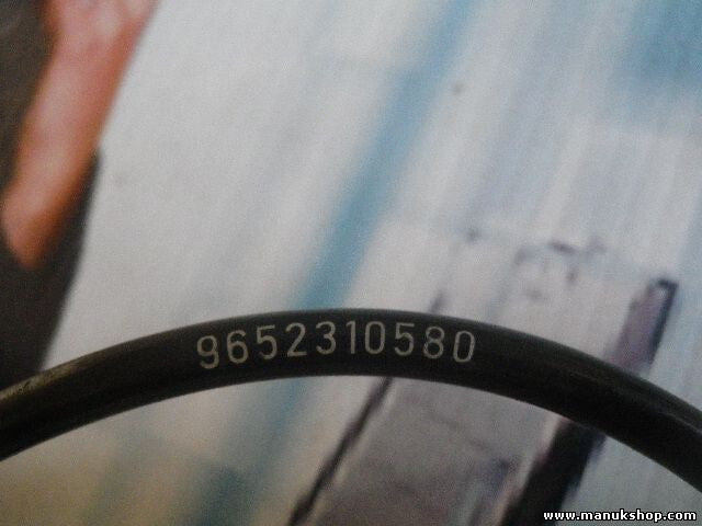 Sensor Raddrehzahl Citroen C4 Peugeot 307 9652310580 96 523 105 80