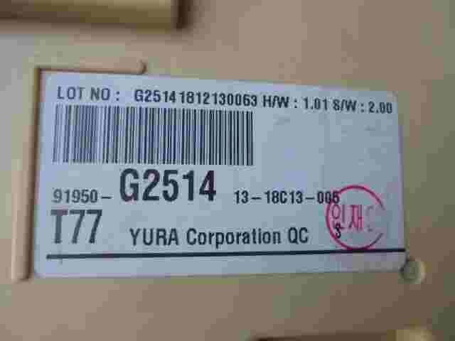 Sicherungskasten Hyundai Ioniq 91950G2514 91950-G2514 1318C13005 G25141812130063