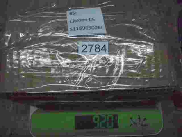 BSM Sicherungskasten Citroen C5 BSM-L06-00 9656086580 SIEMENS S118983006J