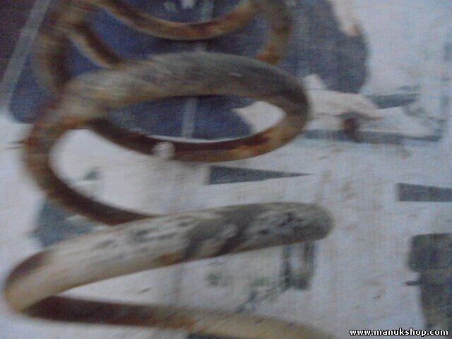Fahrwerksfeder Lada Niva 2121 1600 1976/12-1987/05 1570 21212912712