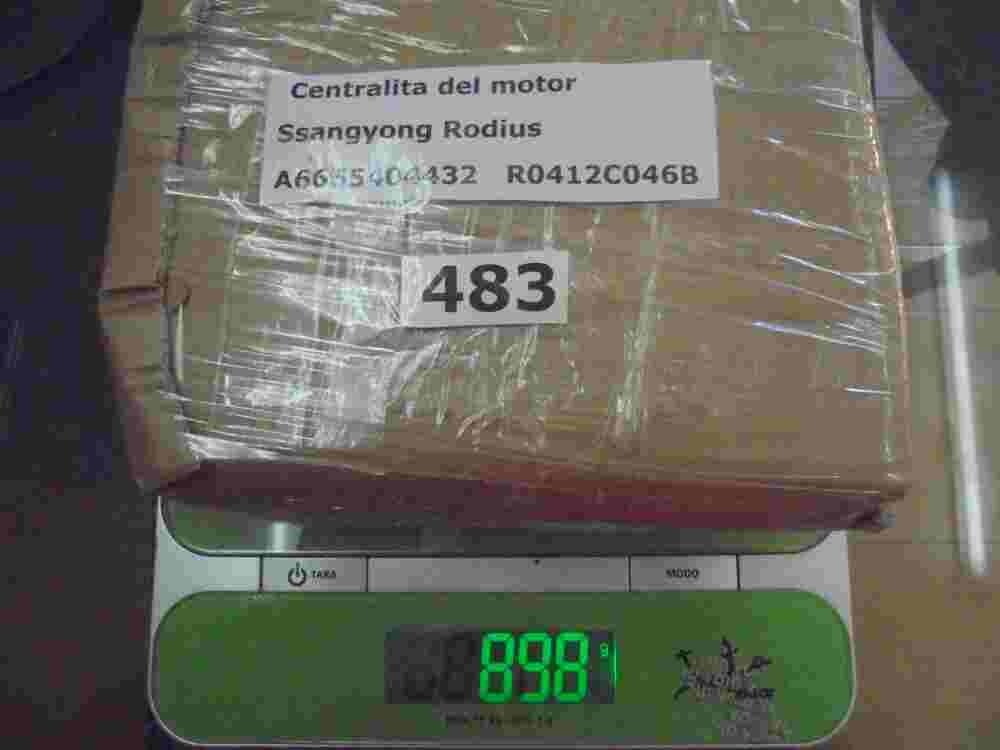 Motorsteuergerät Ssangyong Rodius A6655404432 A665 540 44 32
