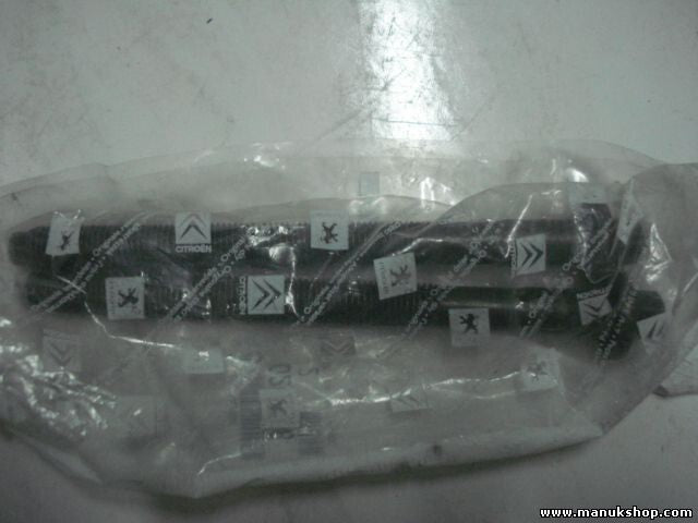 Citroen Peugeot 0240498 02404.98