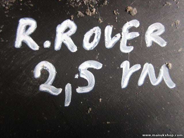 Motorhalterung Rover Range Rover Sport L320 2.5 ANR2620