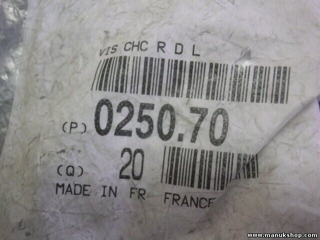 Schraube Citroen Peugeot 025070 0250.70