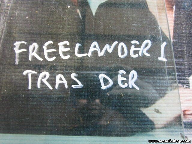 Dreieckscheibe Seitenscheibe hinten rechts Land Rover Freelander 1 43R001582