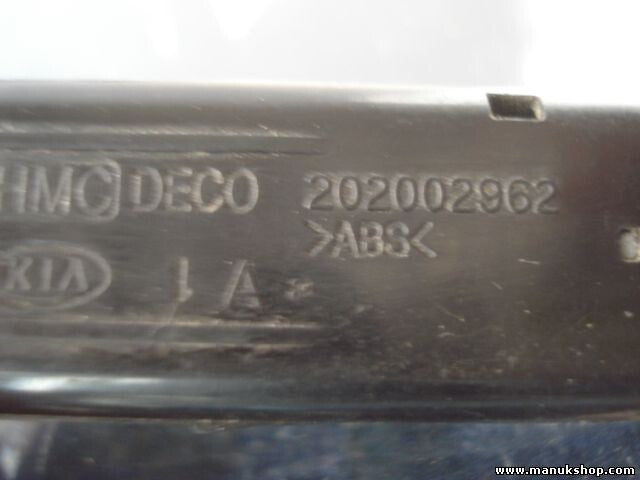 Nebelscheinwerfer Schalter Kia Hyundai Accent 202002962
