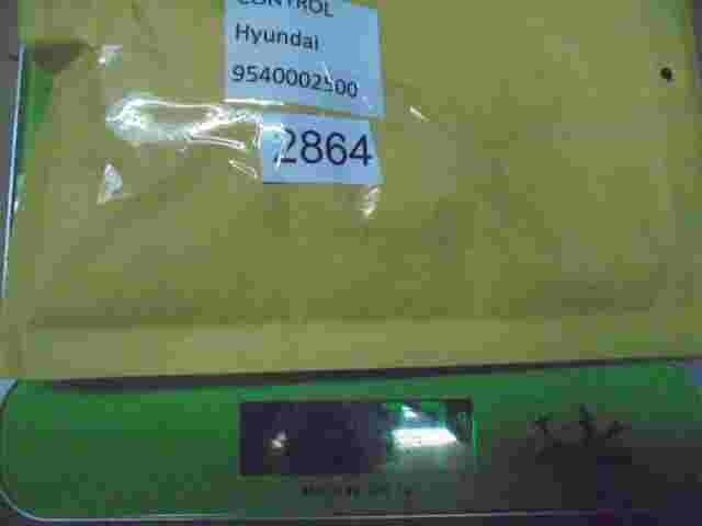 Steuergerät Wegfahrsperre Alarmmodul Santa Fe 9540002500 F005V00141 /VIM223