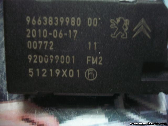 Antennenverstärker Peugeot Citroen 966383998000 9663839980 00 920099001 51219X01