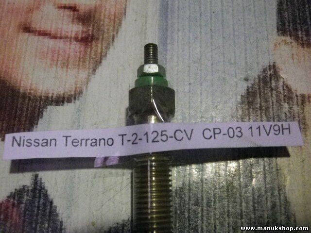 Glühkerzen Nissan Terrano Ford Maverick T2 125 CV CP-03 11V9H