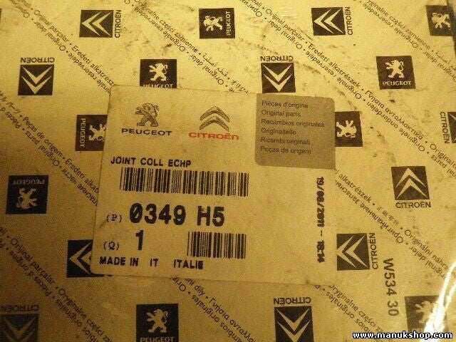 Citroen Peugeot 0349H5 0349 H5