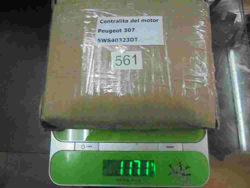 Motorsteuergerät Peugeot 307 9663607380 SW9663607380 9655534080 5WS40323D-T