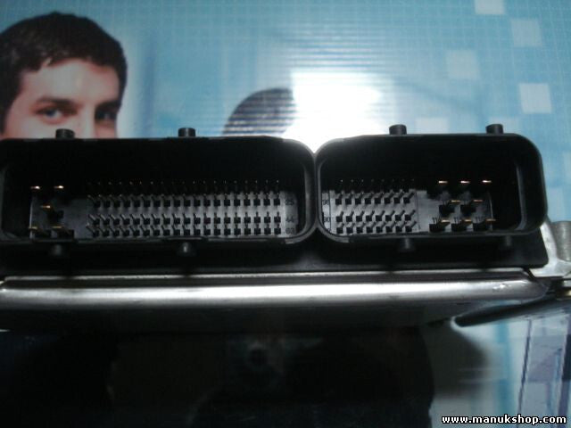 Motorsteuergerät Hyundai Starex 391004A010 39100-4A010 0281010948 88A2TI01