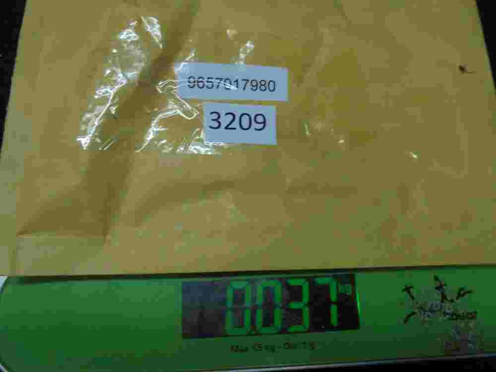Antennenverstärker Citroen C4 Picasso 9657017980 00 00792 920059003 AM/FM1