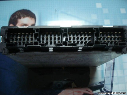 Elektronik Steuergerät Fahrregelung FRM Mercedes Atego 815 1998 VDO A0004462302