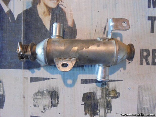 Abgaskühler Peugeot Citroen Berlingo Xantia 206 2,0 HDI VALEO 9639874380
