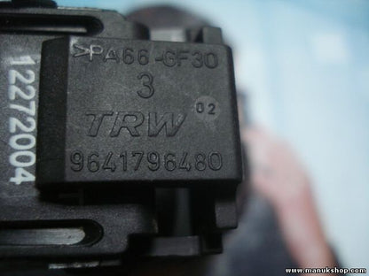 Tempomat Schalter Citroen Peugeot TRW 9641796480 96637157XT 12272004