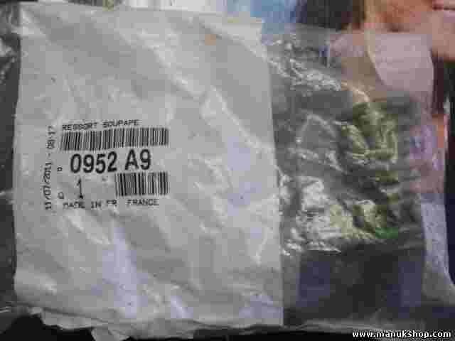 Ventilfeder Citroen Peugeot 0952A9 0952.A9