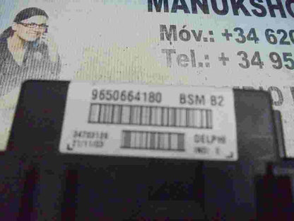 BSM Sicherungskasten Peugeot 206 207 Citroen C3 9650664180 BSM B2 DELPHI