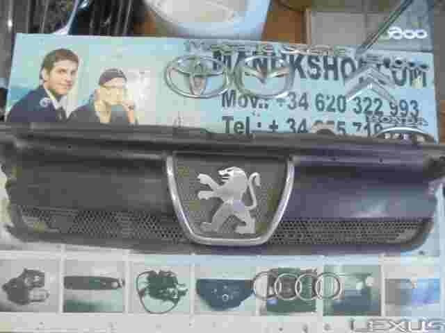 Frontgrill Grill Kühlergrill Fiat Ducato Peugeot Boxer II 1304703070 ST3162