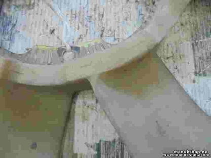 Lüfterrad Kühlerlüfter Nissan Patrol GR I Y60 2.8 TD 44505 450-5-4