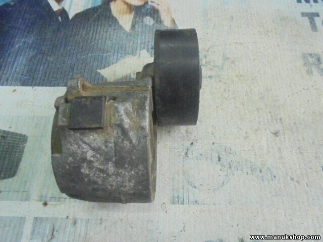 Spannrolle Zahnriemen Fiat Punto 46819146