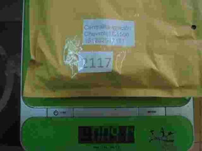 Zündsteuergerät Chevrolet C1500 Spark 161282512171 16128251 2171