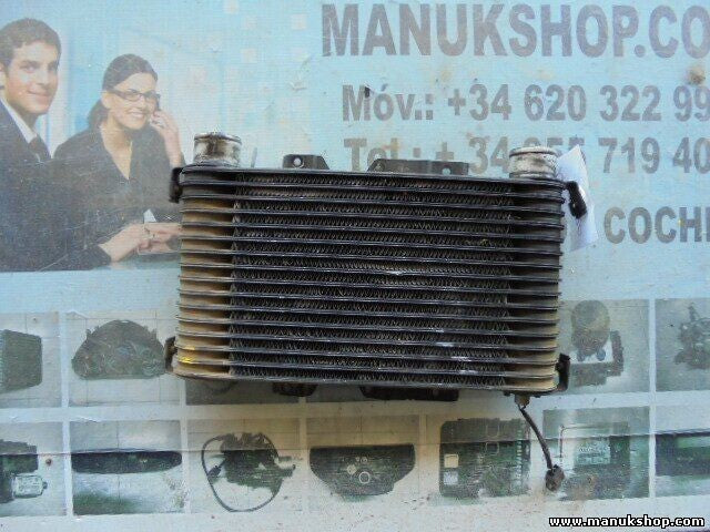 Ladeluftkühler Hyundai Mitsubishi Galloper 2.5 TD HR140101 UD1A441