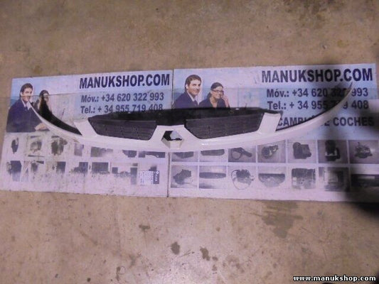 Frontgrill Grill Kühlergrill Renault Kangoo 8200150629C 8200 150 629 C