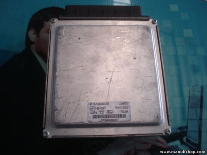 Motorsteuergerät Ford Transit 4T1112A650CB 4T11-12A650-CB 12249770 R0411C005J