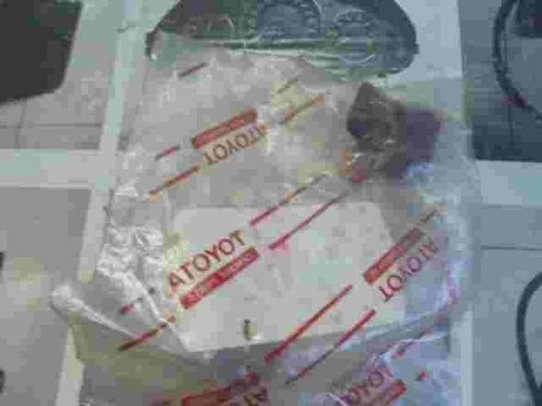 Retainer Front Fender  Toyota RAV 4 Lexus 5387944010 53879-44010