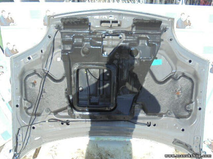 Motorhaube Nissan X-Trail T30 1998 ccm, 206 KW, 280 PS 658508H800 P644-5561-100
