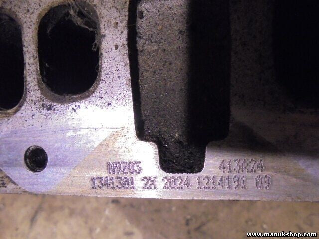 Zylinderkopf Nissan Qashqai J10 2.0 dCi 110kW 8200808824 DP8.11 M9Z05 M616474