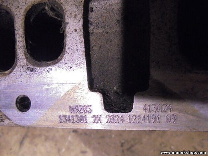 Zylinderkopf Nissan Qashqai J10 2.0 dCi 110kW 8200808824 DP8.11 M9Z05 M616474