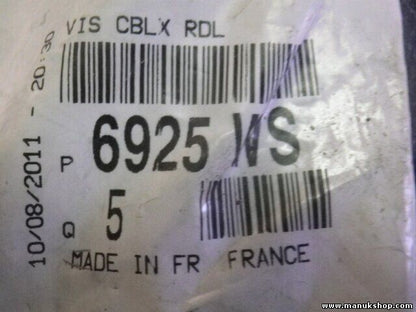 Citroen Peugeot 6925WS 6925 WS