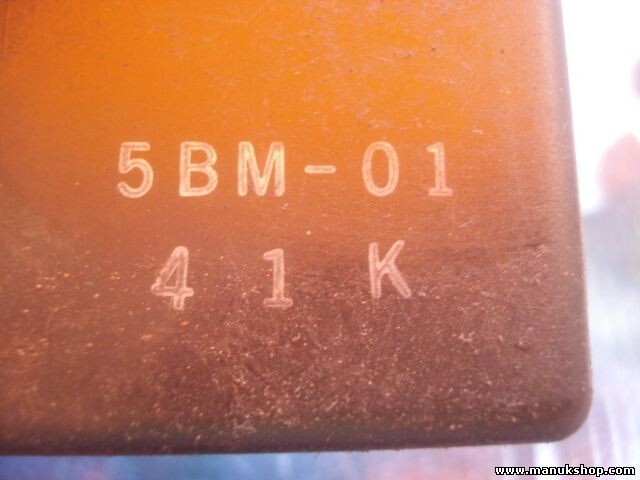 Zündbox Steuergerät Yamaha 50 5BM-01 5BM01