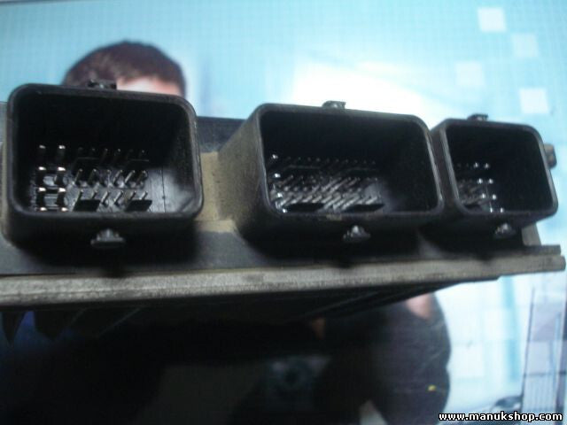 Motorsteuergerät Renault Cilo DELPHI TRW R0410C017E 8200180595B