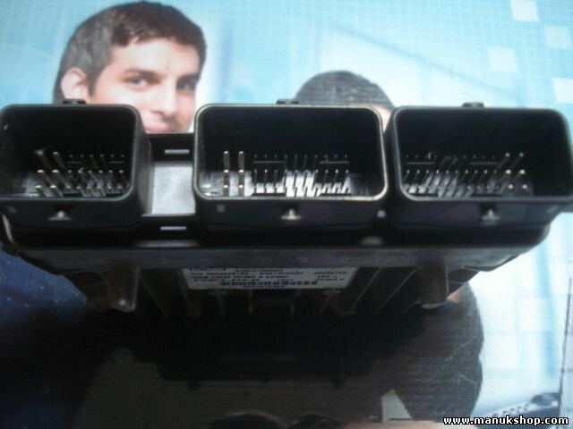 Motorsteuergerät Peugeot 407 2.0 16V 9663548180 R0413C006A 28096795 9663612380