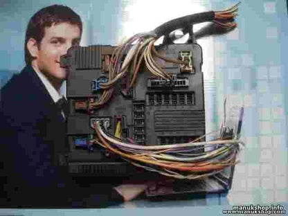UPC Sicherungskasten Renault Megane UPC X84 N3 8200306033B S118399300K