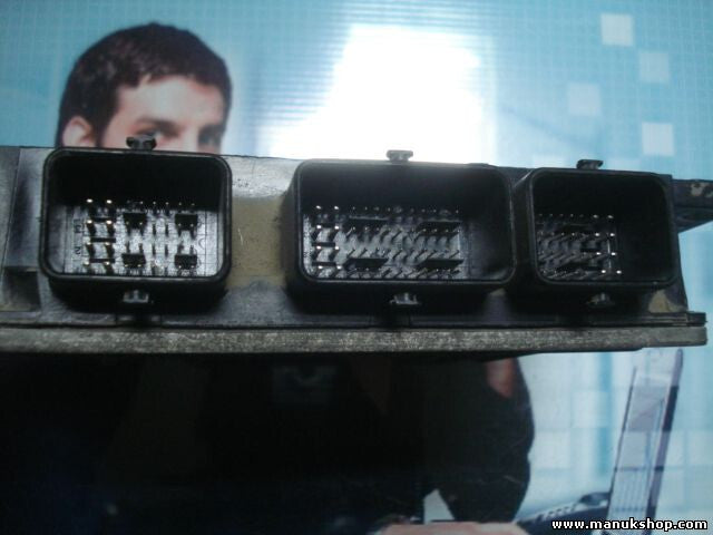 Motorsteuergerät Renault Cilo 1.5 DCI DELPHI 8200331477 8200389169 R0410C120C