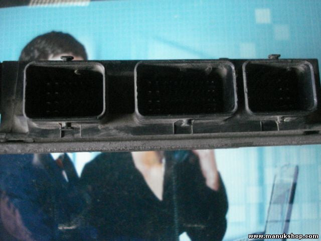 Motorsteuergerät Cilo 8200206670 HOM8200129063 DELPHI R0410C021B DDCR 80925M