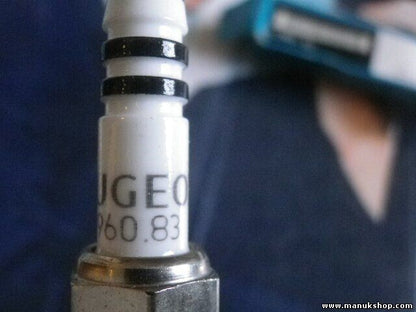 Citroen Peugeot 5960.83 596083