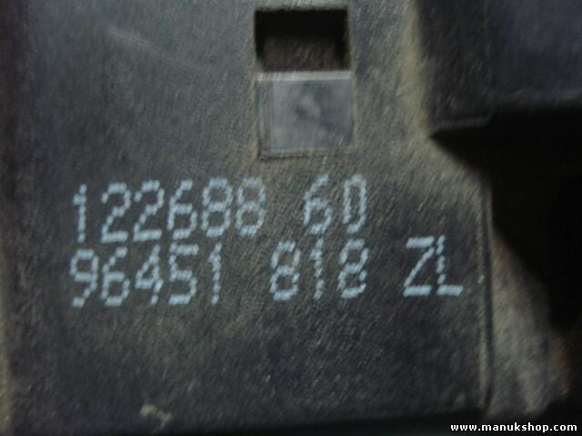 Scheibenwischerhebel Scheibenwischer Citroen  206 96451818ZL 96 451 818 ZL