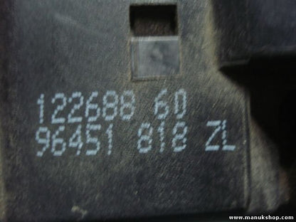 Scheibenwischerhebel Scheibenwischer Citroen  206 96451818ZL 96 451 818 ZL