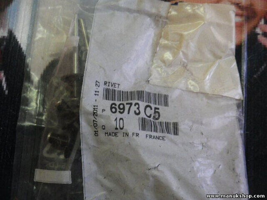 Niete Citroen Peugeot 6973C5 6973 C5