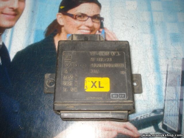 Steuergerät Während Glühlampen Opel Omega Vectra GM 90339233 410218001003
