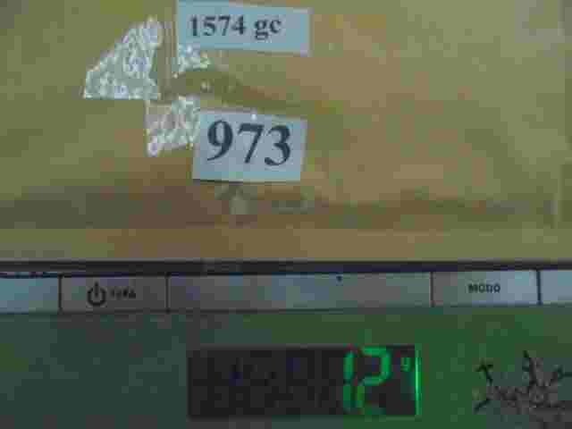 Dichtung Citroen Peugeot 1574.GC 1574GC