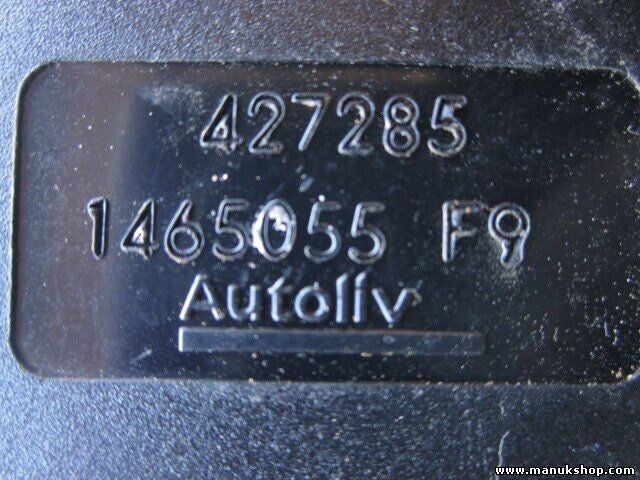 Gurtschloss Gurtschnapper hinten mittel Renault Scenic RX4 427285 1465055 F9