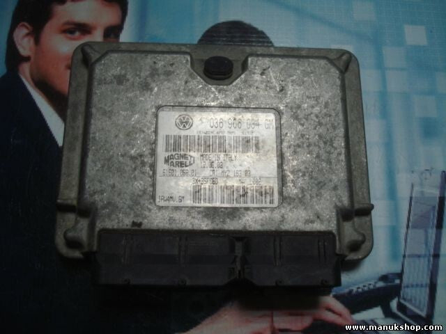 Motorsteuergerät Volkswagen Seat Ibiza Seat Cordoba 036906034GM IAW4MVGM