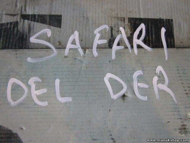 Türscheibe Seitenscheibe vorne rechts Tata Safari 43R001264 43R-001264