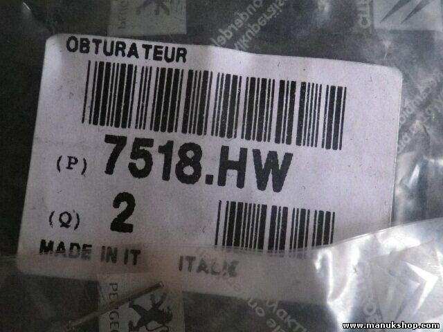 Verschluss Citroen Peugeot 7518.HW 7518HW